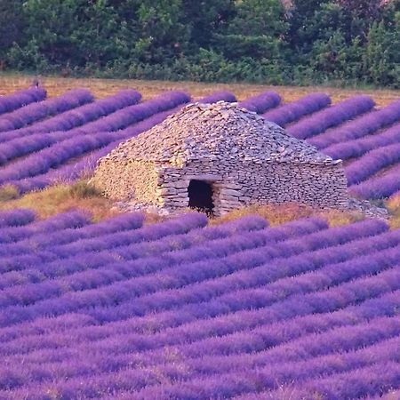 Entre Ventoux Et Luberon Chambre D'Hote Sault-de-Vaucluse Luaran gambar