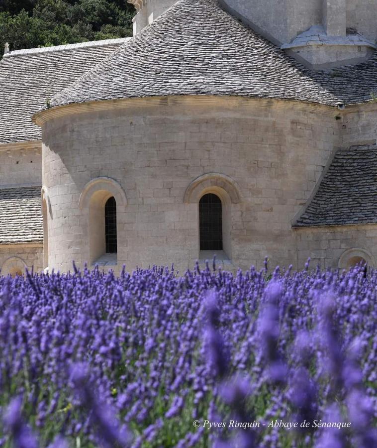 Entre Ventoux Et Luberon Chambre D'Hote Sault-de-Vaucluse Luaran gambar