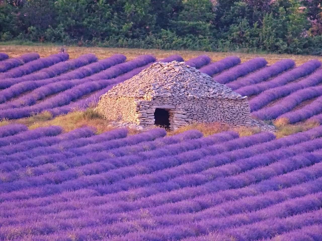 Entre Ventoux Et Luberon Chambre D'Hote Sault-de-Vaucluse Luaran gambar